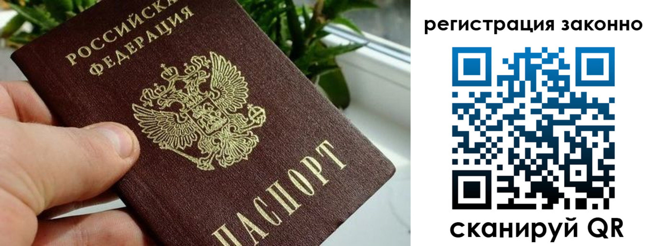 прописка гарантия в Прокопьевске